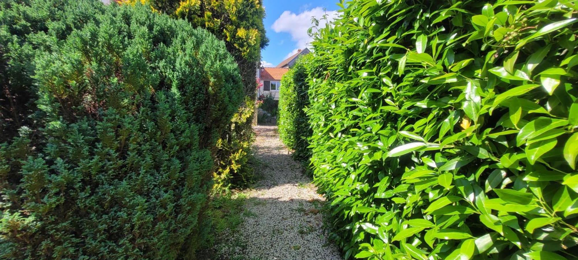 La Maison De L'Abeille De Percey Longeau-Percey エクステリア 写真