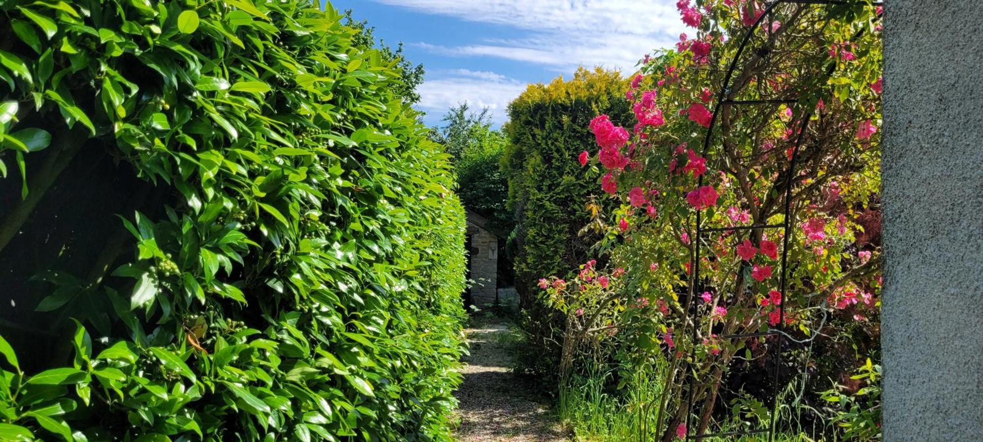 La Maison De L'Abeille De Percey Longeau-Percey エクステリア 写真